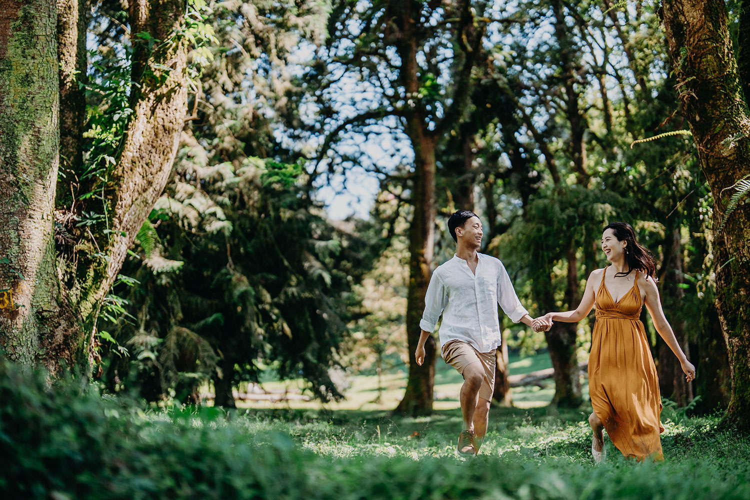 prewedding bedugul botanical garden